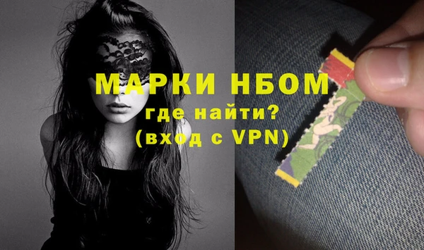 индика Архангельск