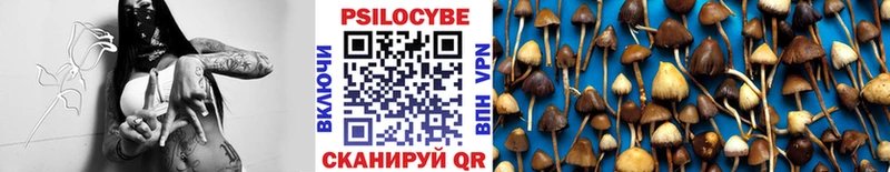 как найти закладки  OMG tor  Галлюциногенные грибы Cubensis  Кемерово 