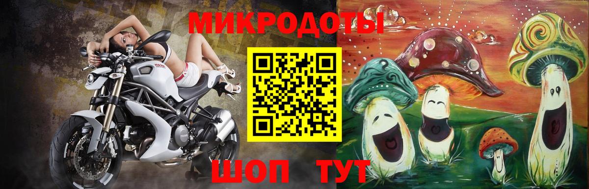 Псилоцибиновые грибы Psilocybe Кемерово
